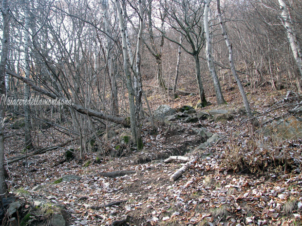 rifugio menaggio24